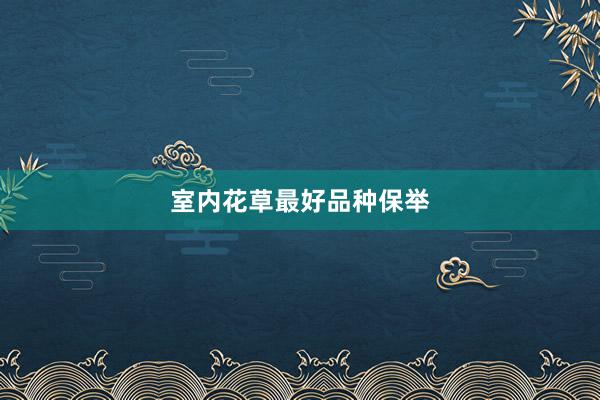 室内花草最好品种保举