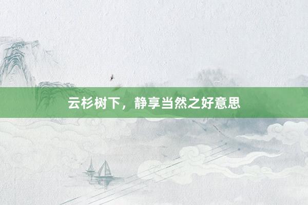 云杉树下，静享当然之好意思