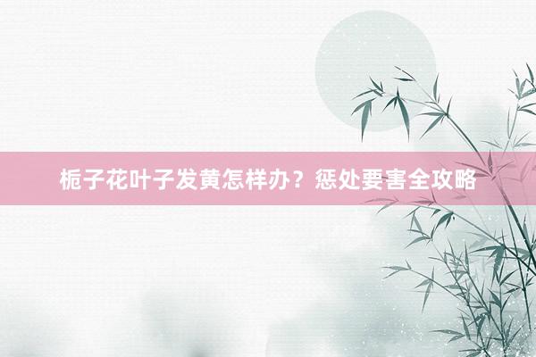 栀子花叶子发黄怎样办？惩处要害全攻略