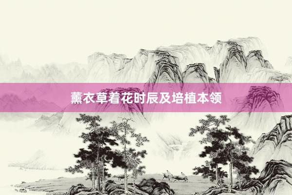 薰衣草着花时辰及培植本领
