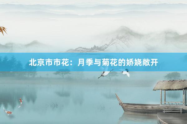 北京市市花：月季与菊花的娇娆敞开