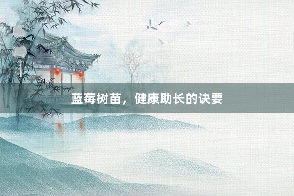 蓝莓树苗，健康助长的诀要